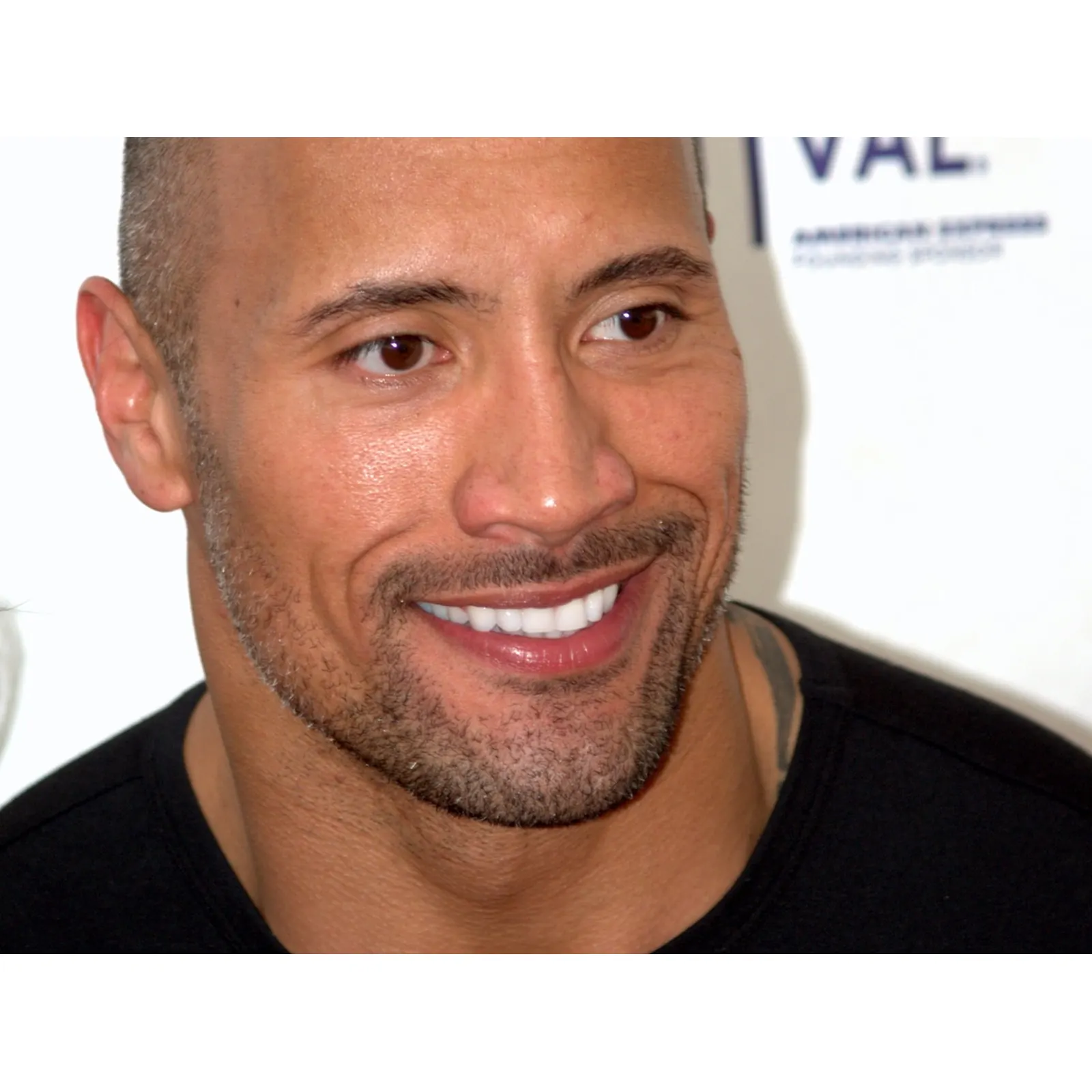 The Rock biography profile